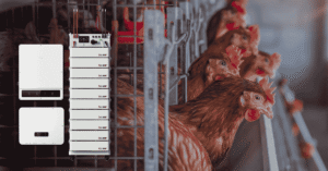 Poultry Farm Case Study BSL Battery HV Pack 10 & GoodWe ET-50kW hybrid inverter