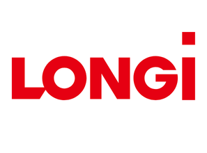 Longi Solar Panels