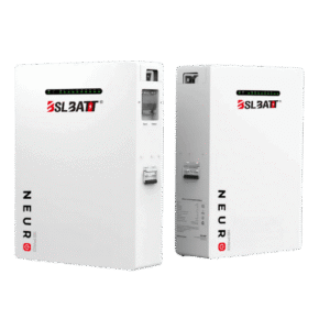 BSL Battery Neuro 16 Pro