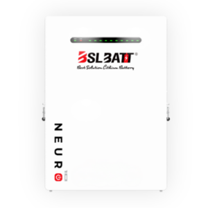 BSLBATT Neuro 10